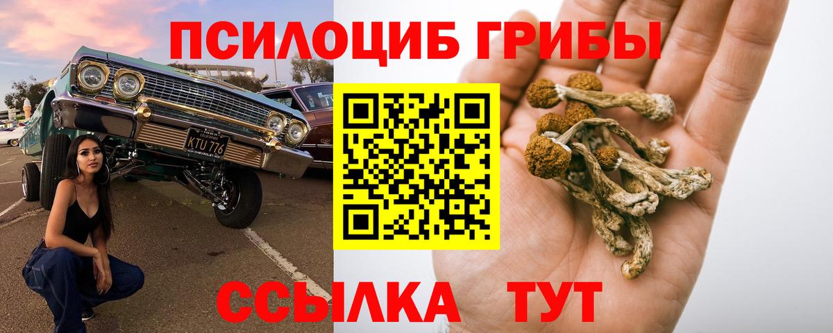 Галлюциногенные грибы Cubensis Шахты
